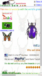 Mobile Screenshot of insect-sale.com